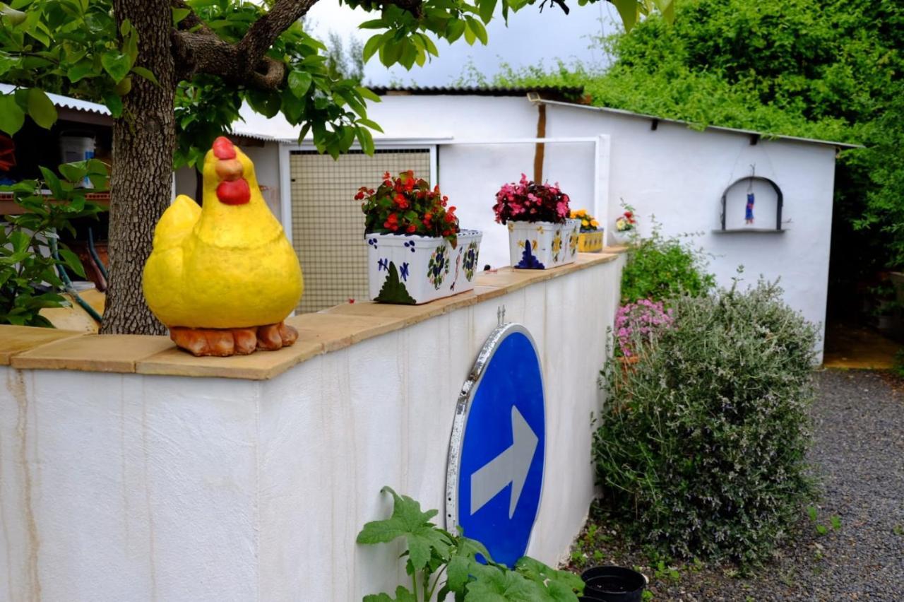 Cehegín The Shedヴィラ エクステリア 写真